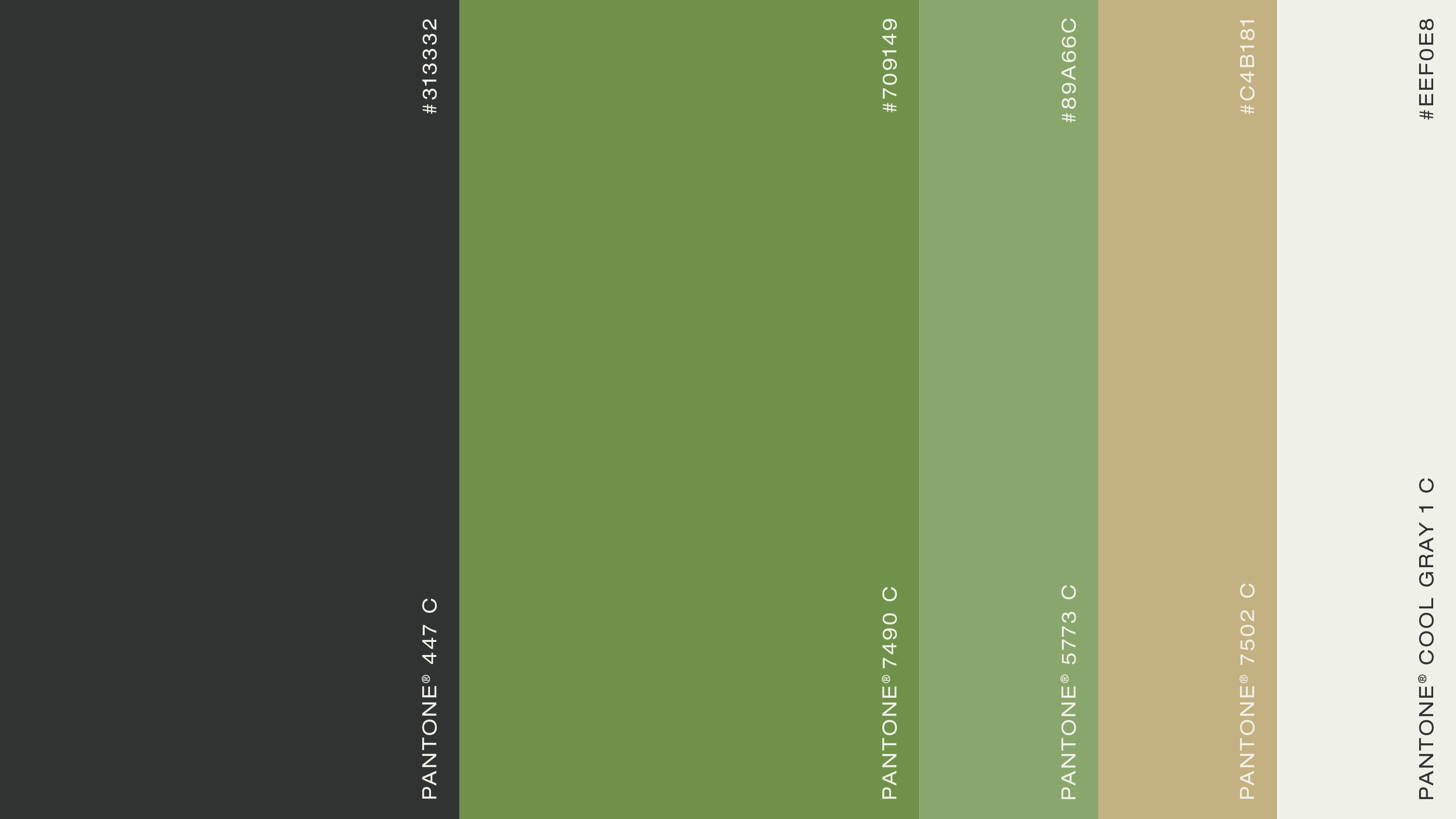 Forewinds colour palette — brand identity system