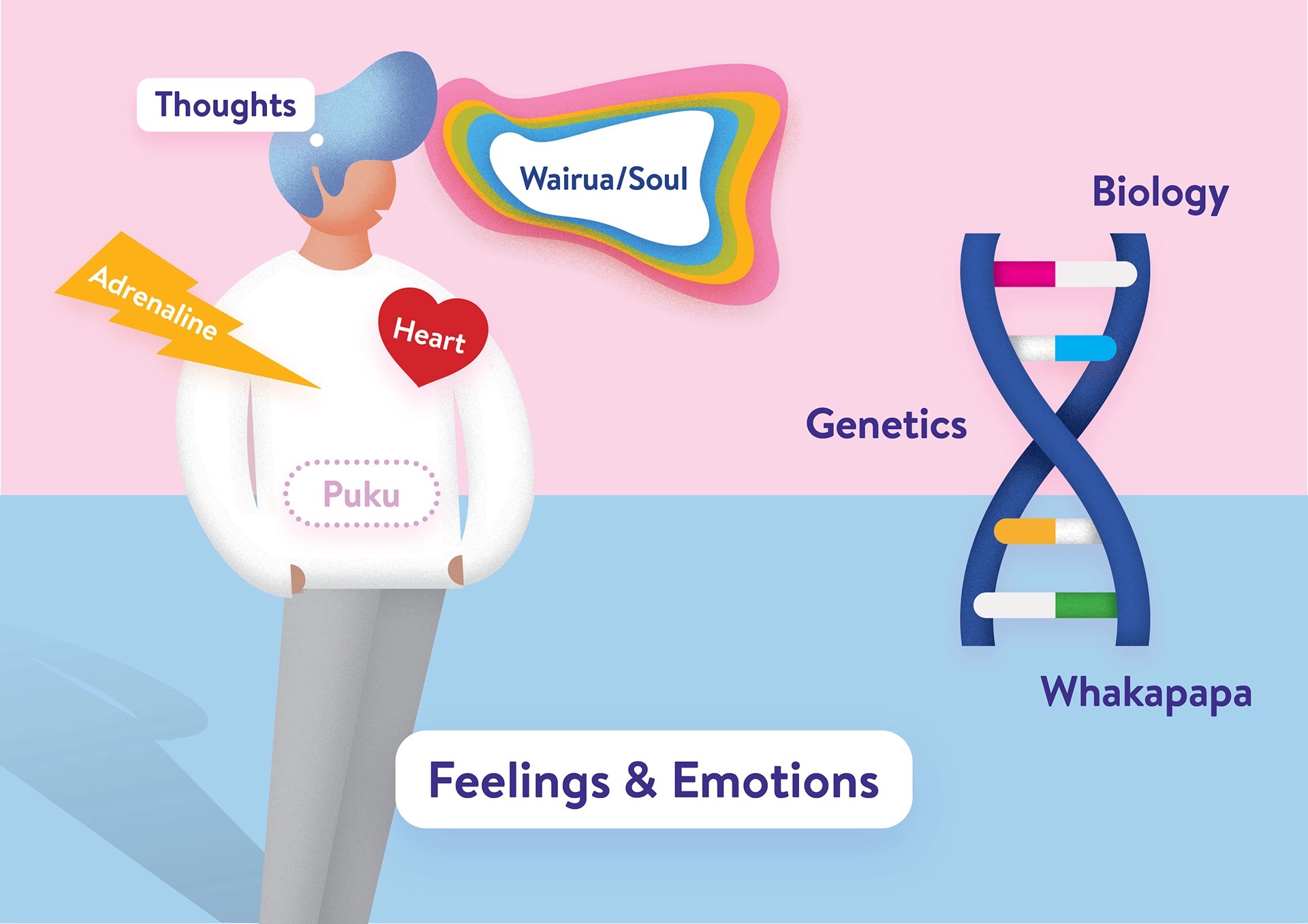 Lifeline New Zealand — mental health education illustration, image 3