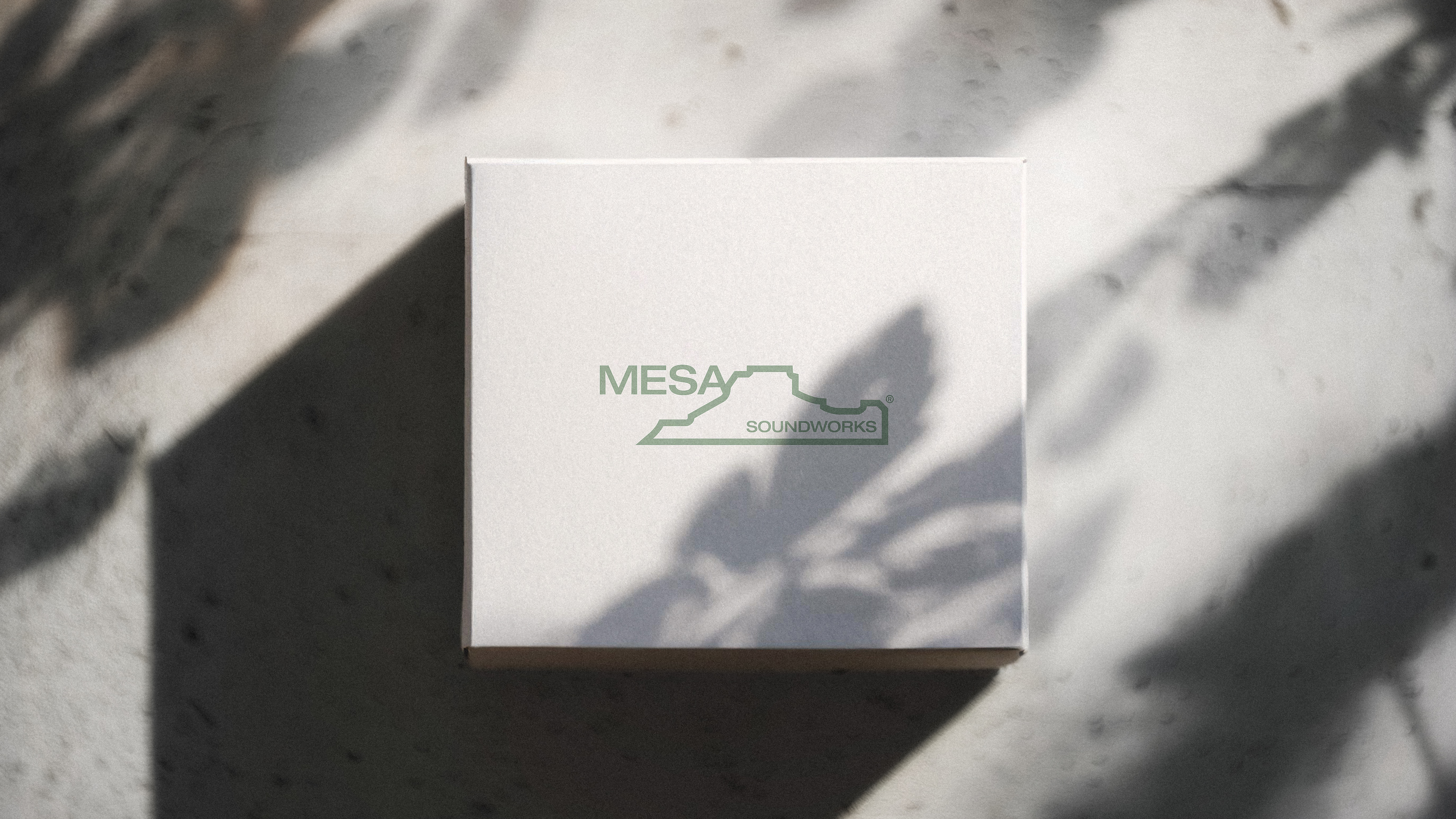 Mesa Soundworks logo in use — packaging design